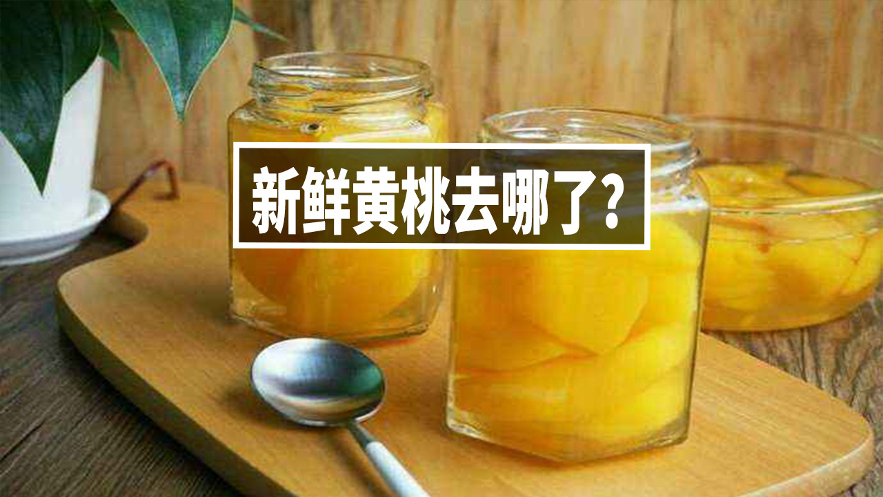 为什么常见黄桃罐头,不见新鲜黄桃?【A等生】【全民】